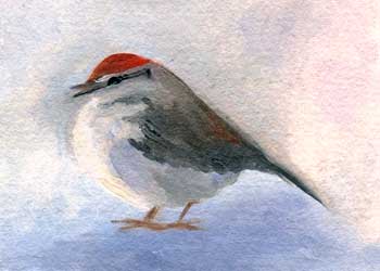 "Chipping Sparrow" by Carol Brown, Greendale WI - Oil on Paper - SOLD